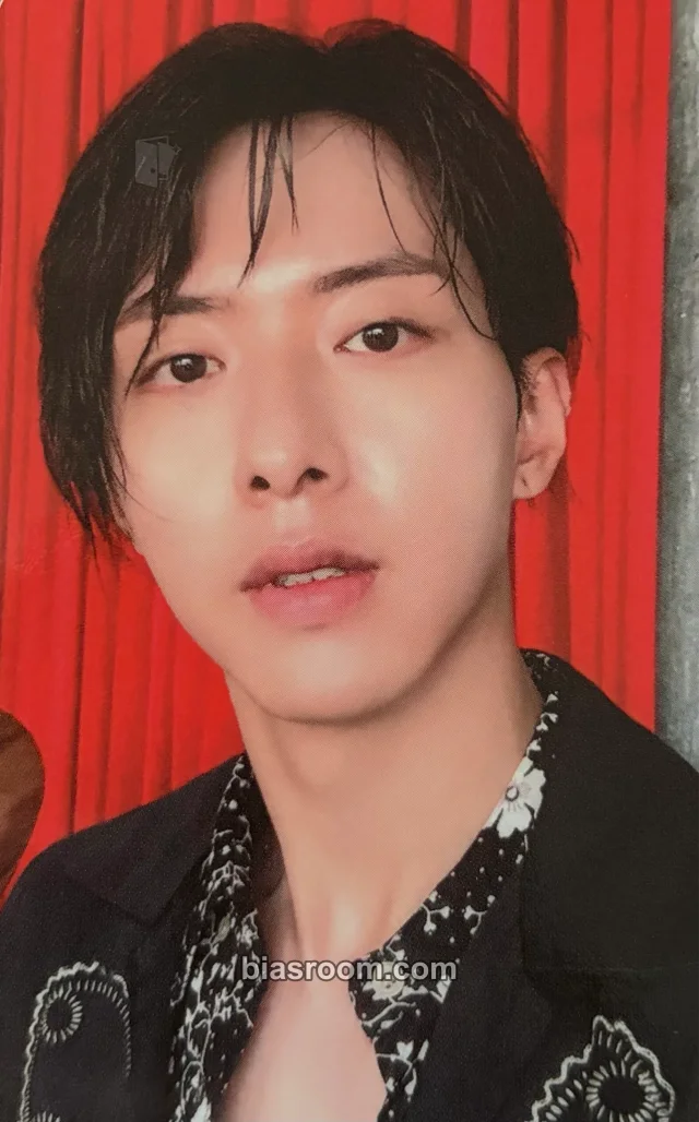 Jungshin CNBLUE WANTED K-pop photocard