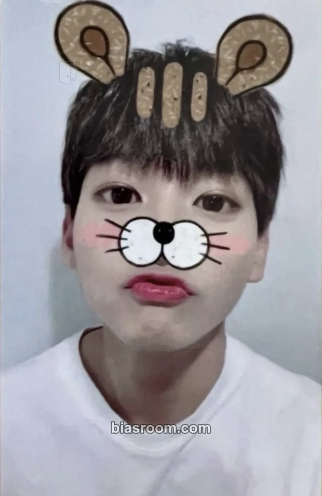 SF9 - Inseong - Knights of the Sun Album broadcast