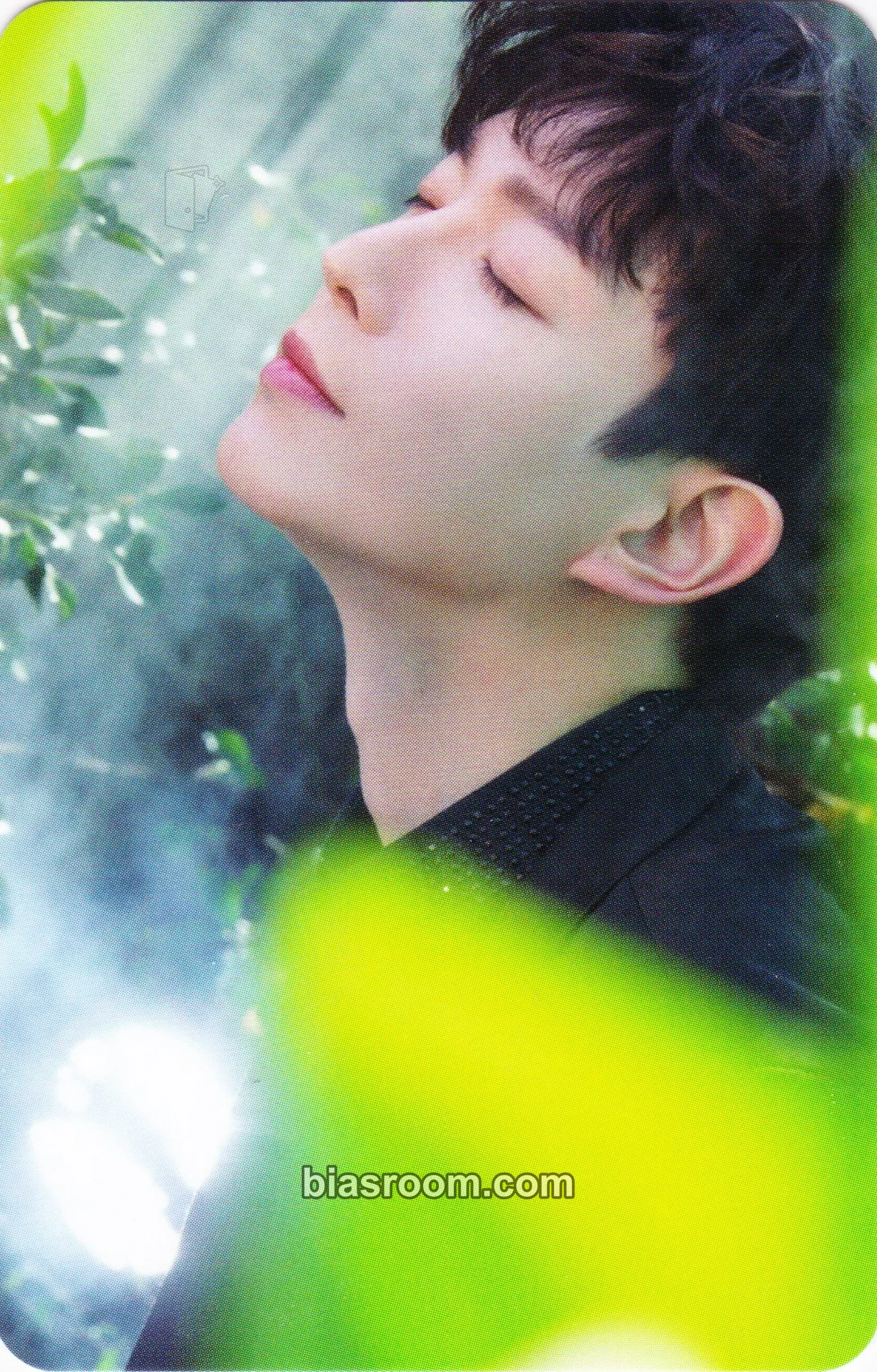 Doohoon The Forestella Photocard - Forestella - Forestella K-pop photocard