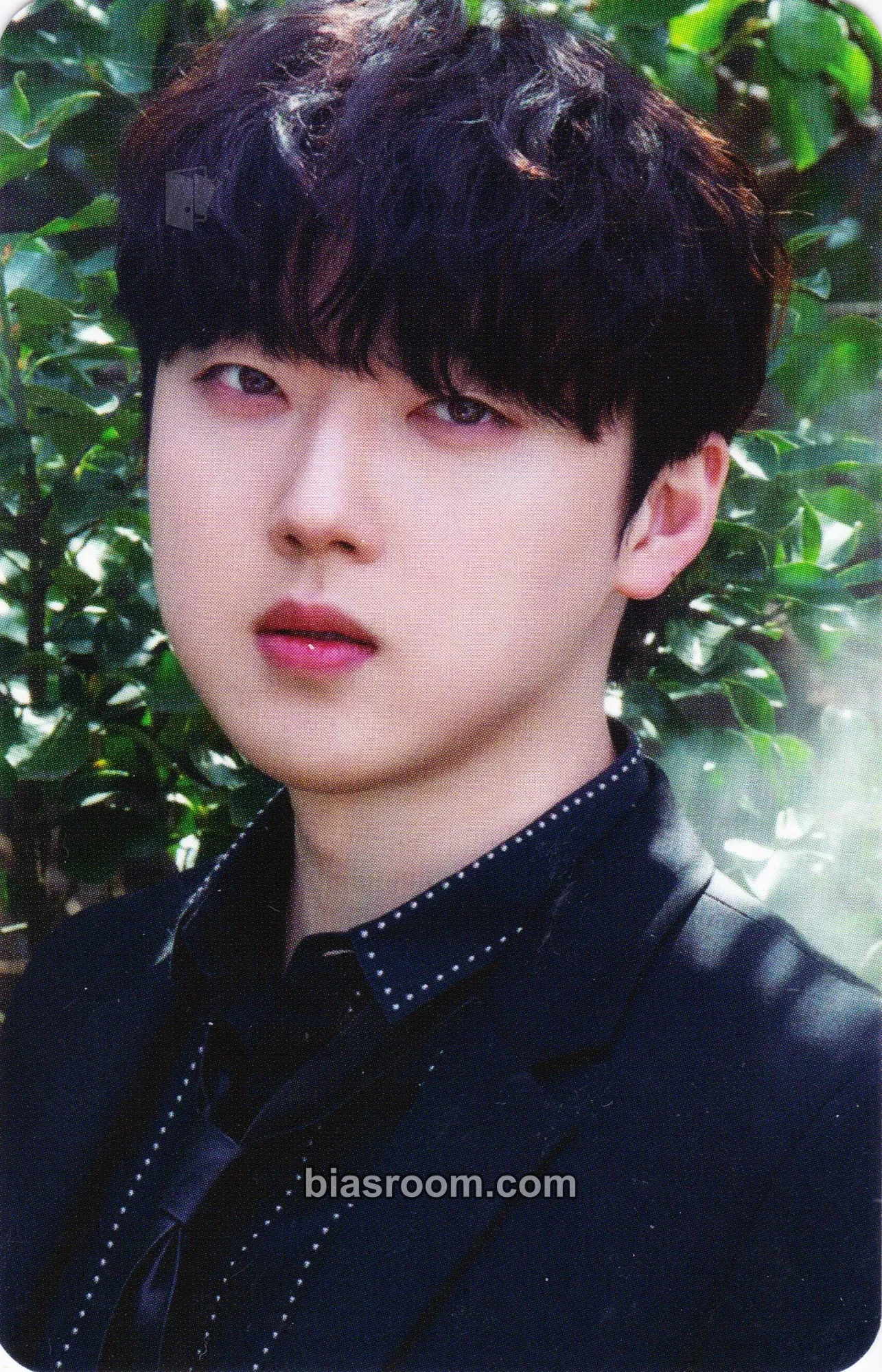 Hyungho The Forestella Photocard - Forestella - Forestella K-pop photocard