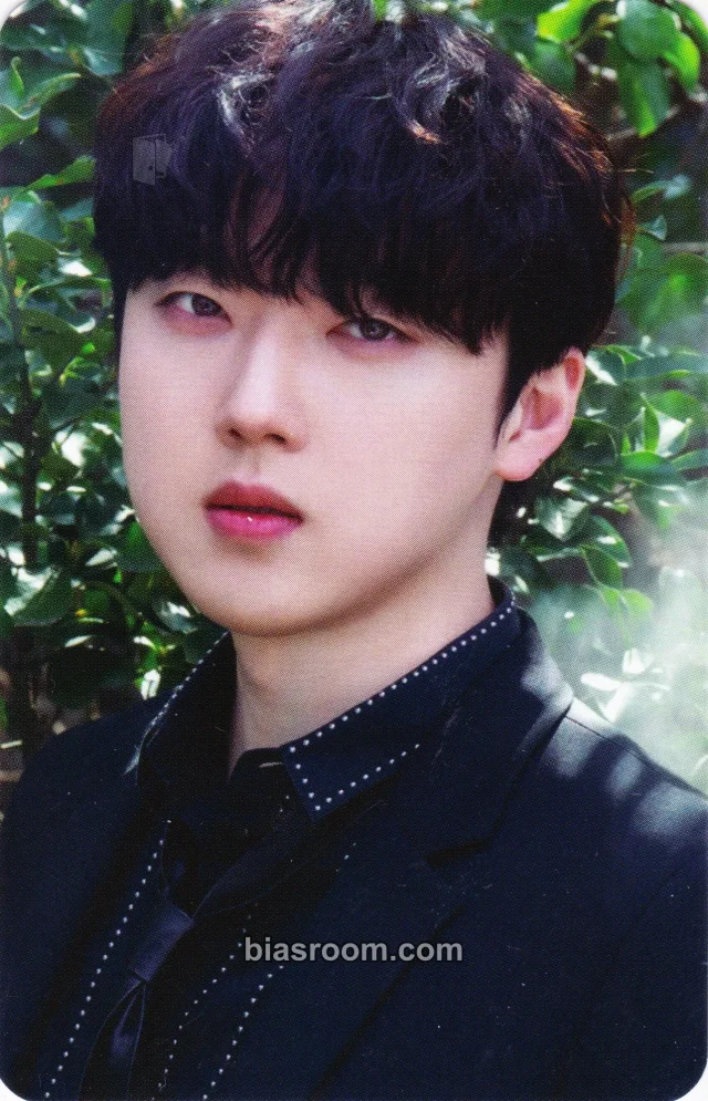 Forestella - Hyungho - The Forestella Album album photocard