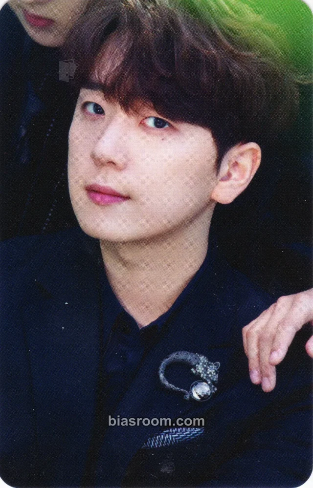 Forestella - Woorim - The Forestella Album album photocard