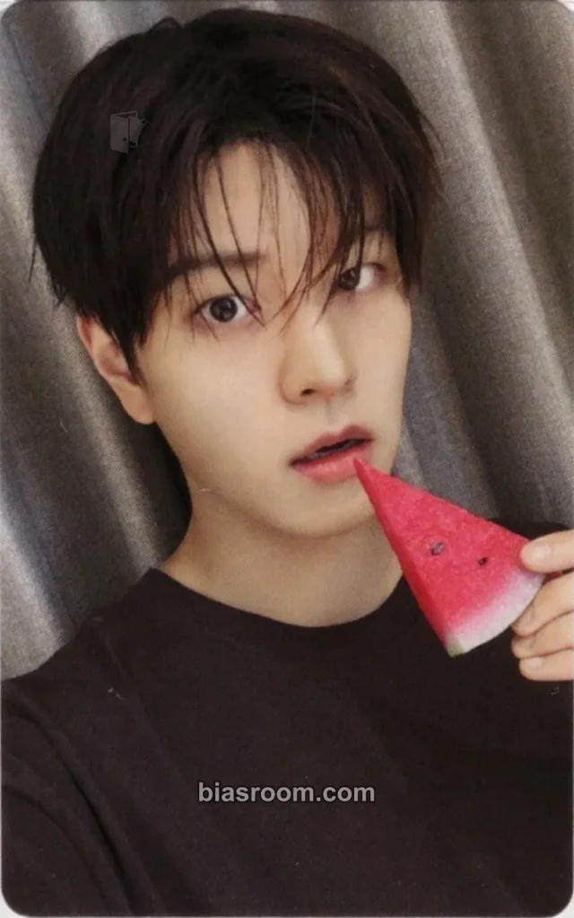 Stray Kids - Seungmin - This & That Album pob (pre-order benefit) jyp/fans shop