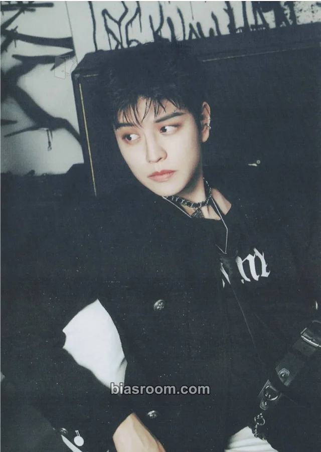 Stray Kids - Seungmin - DominATE World Tour Event postcard supplemental vip ticket benefit item set