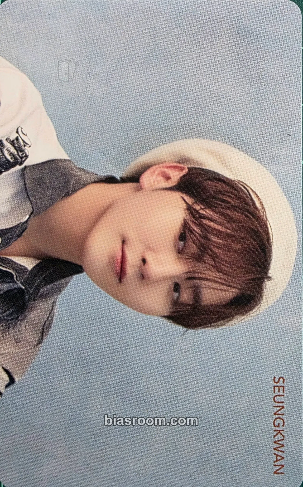 Seungkwan Fallin' Flower Photocard - SEVENTEEN - SEVENTEEN K-pop photocard