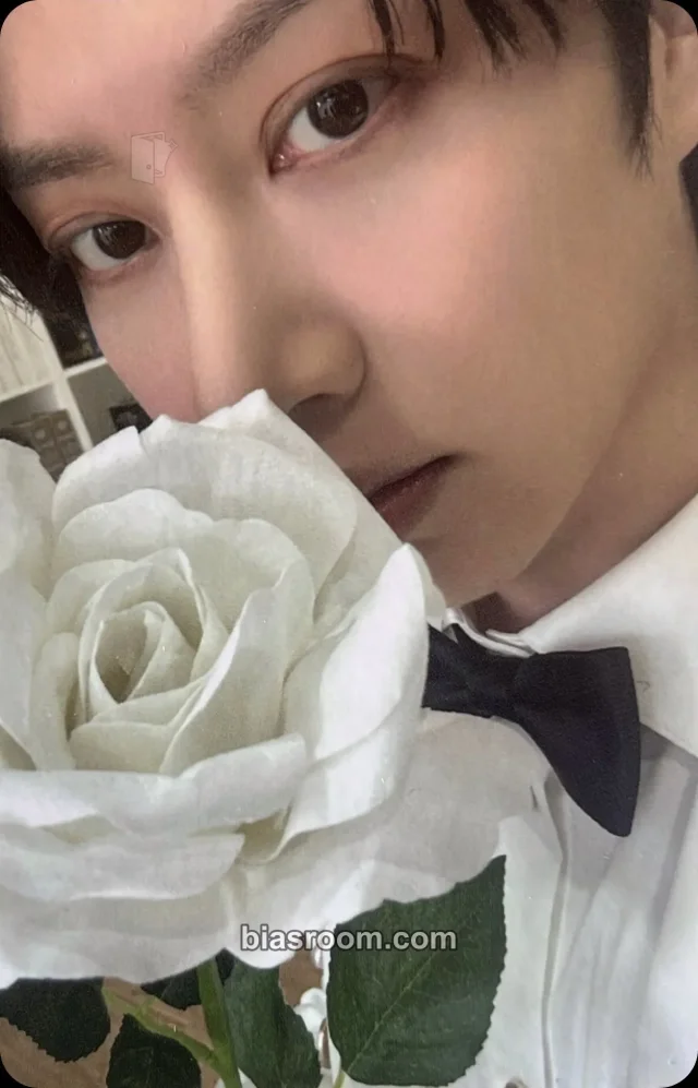 Heechul Super Junior25 トレカ - SUPER JUNIOR | Bias Room