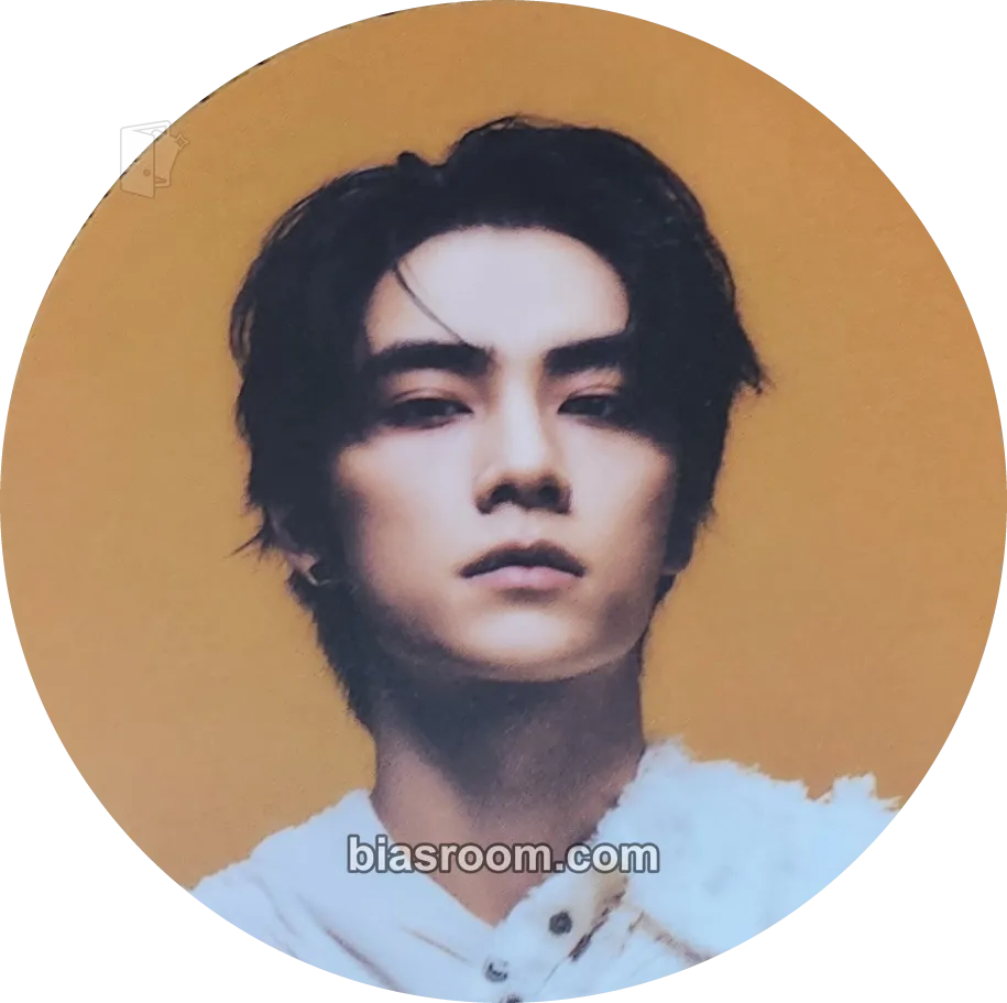 Xiaojun Vision Wings トレカ - WayV | Bias Room
