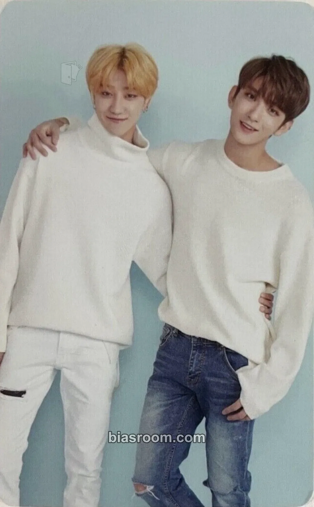 2018 2ND SEVENTEEN IN CARAT LAND Photocard - SEVENTEEN | Bias Room