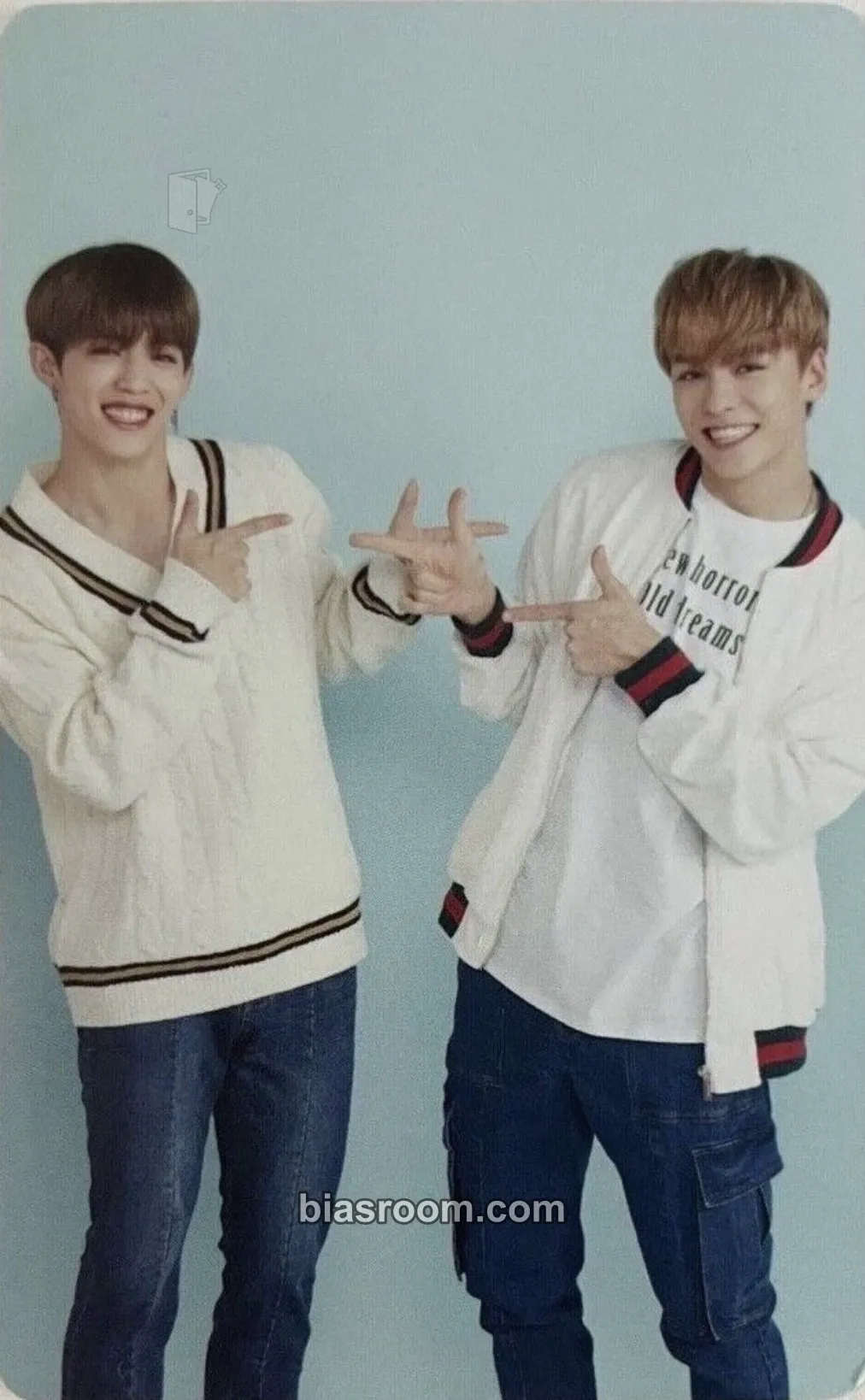 2018 2ND SEVENTEEN IN CARAT LAND Photocard - SEVENTEEN - SEVENTEEN K-pop photocard