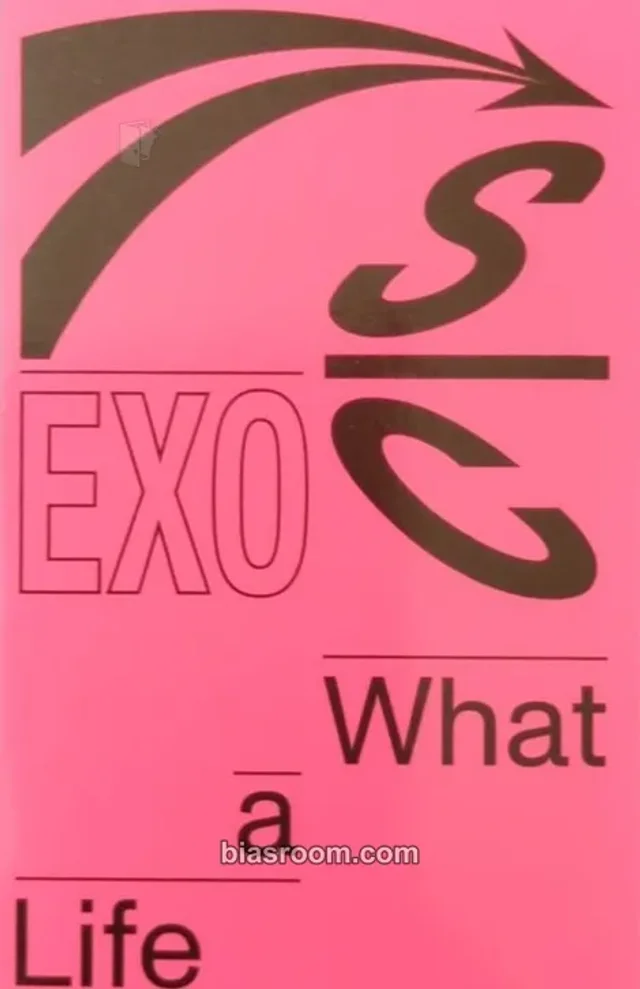EXO - Chanyeol & Sehun - What a Life Album P Version album inclusion sticker