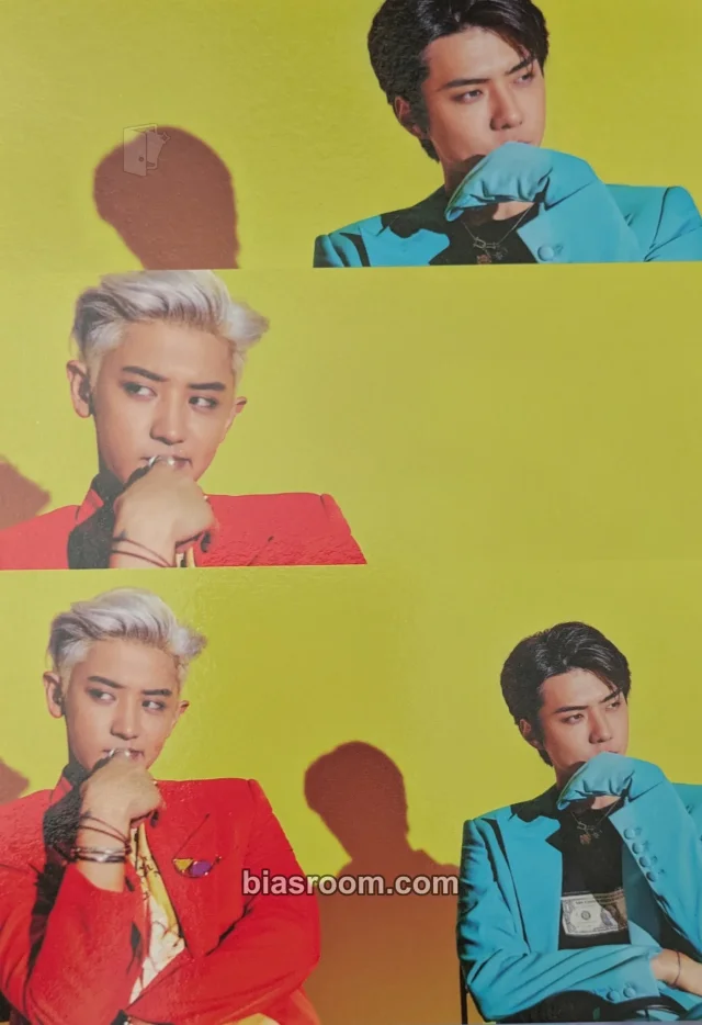 EXO - Chanyeol & Sehun - What a Life Album Y version postcard album inclusion