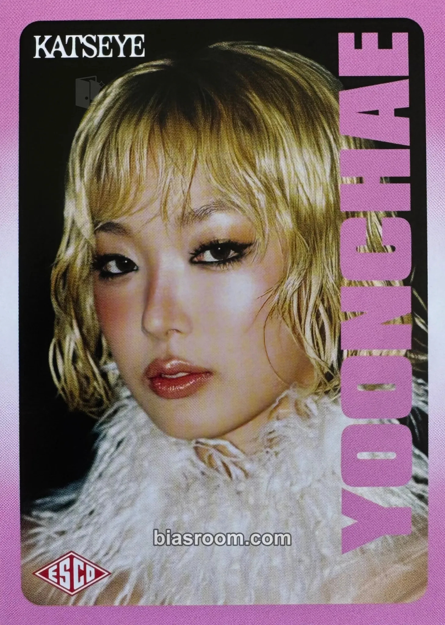 Catalog image