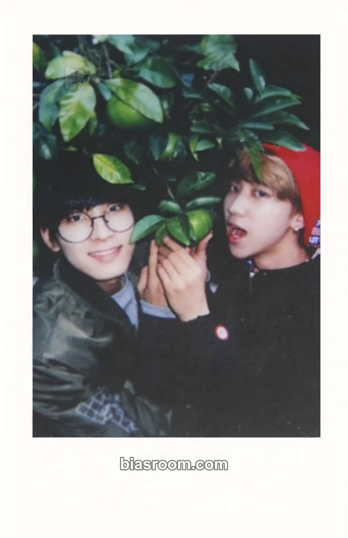 LIKE SEVENTEEN] BOYS WISH CONCERT SERIES Photocard - SEVENTEEN