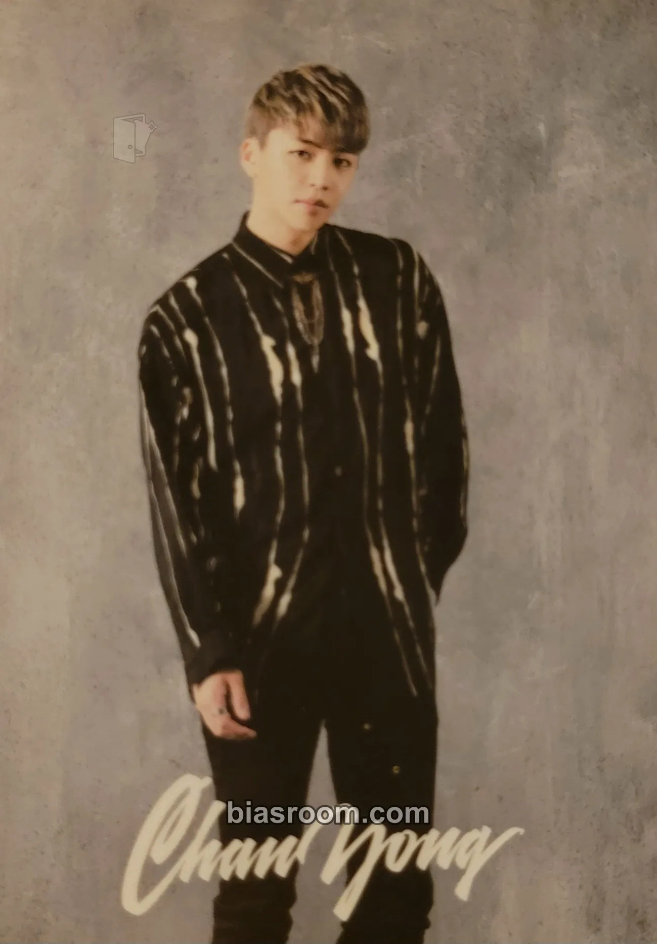 Chanyong Warrior Photocard - 100% - 100% K-pop photocard
