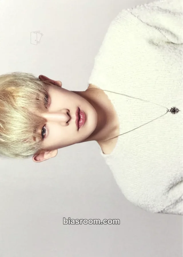 Wonho 2018 World Tour - The Connect トレカ - MONSTA X | Bias Room