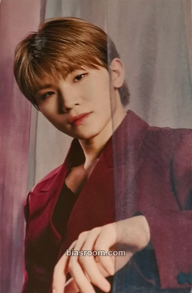 Woozi SEVENTEEN [POWER OF LOVE] ONLINE CONCERT K-pop 포토카드