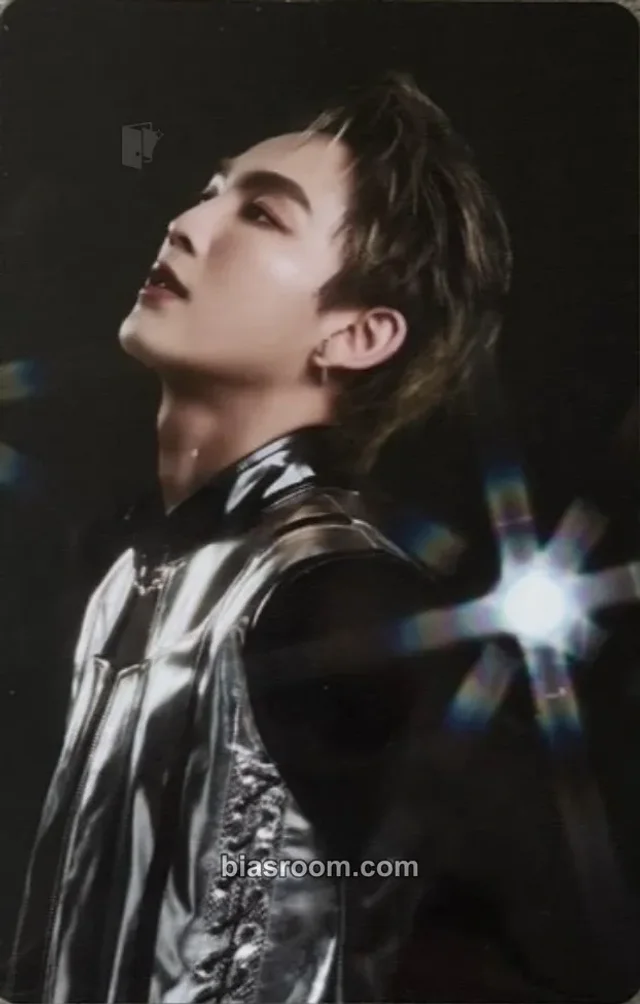 BUS - Heart - BUS Light As One Concert Event photocard set entrance / attendance benefit concert