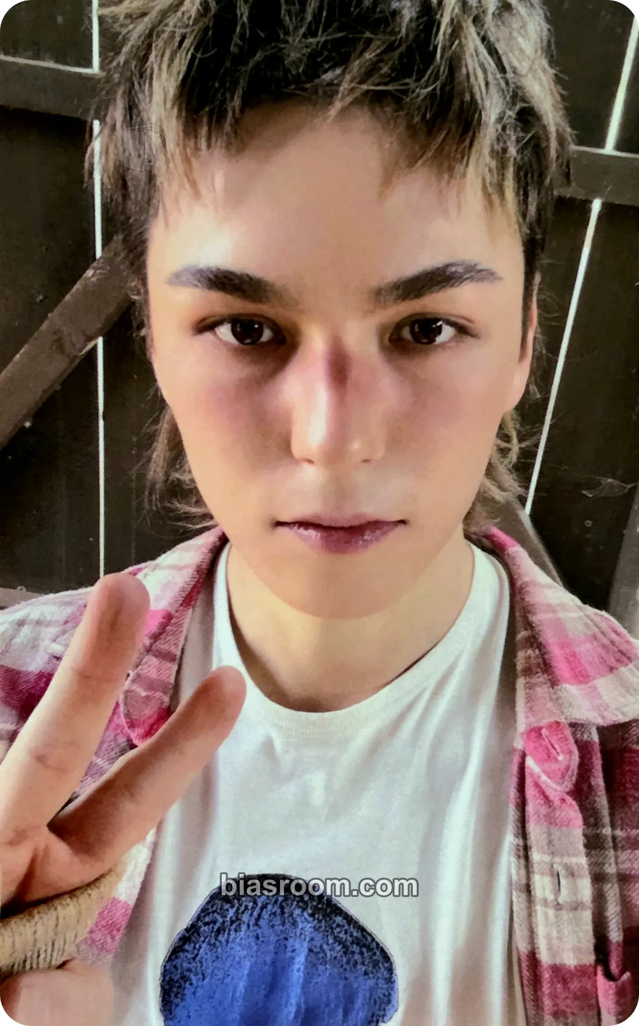 Vernon V8 Photocard - SEVENTEEN | Bias Room