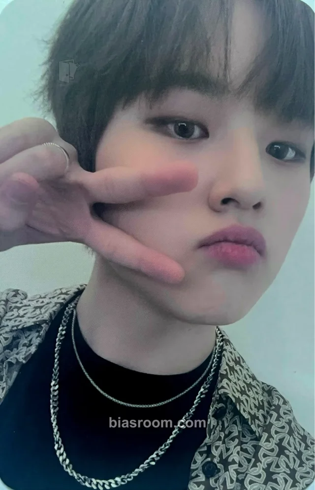 H&D - Dohyon - Umbrella Album album photocard