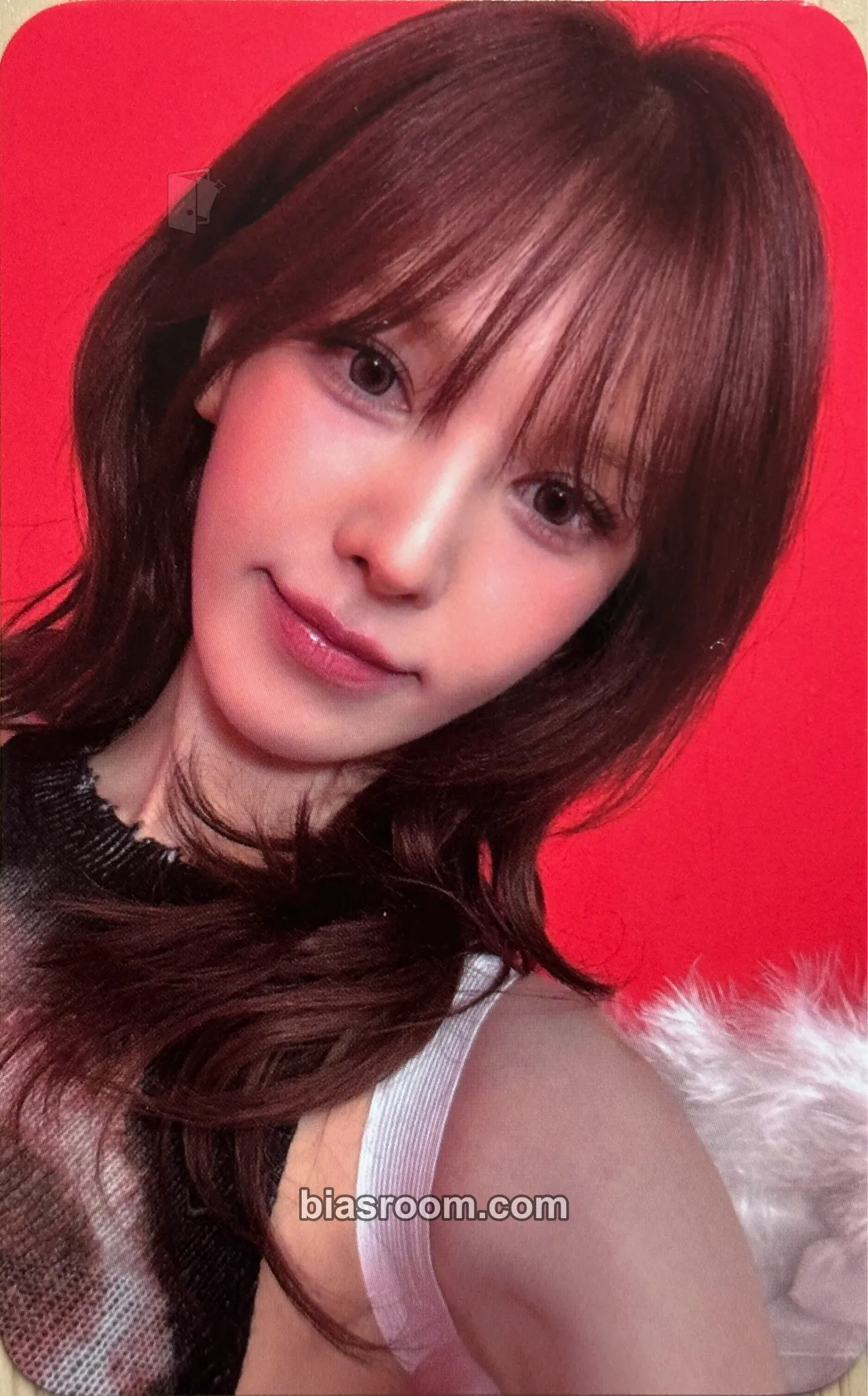 Wendy Cerulean Verge Photocard - Red Velvet | Bias Room