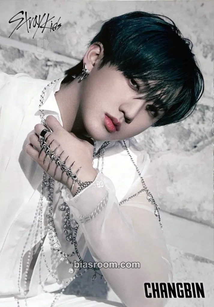 Changbin GIANT Photocard - Stray Kids - Stray Kids K-pop photocard