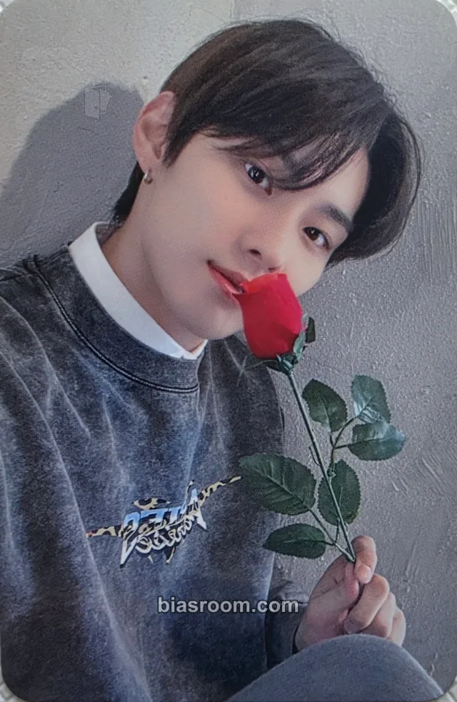 TNX - Kyungjun - LOVE NEVER DIES Album dear my muse (dmm) version 5