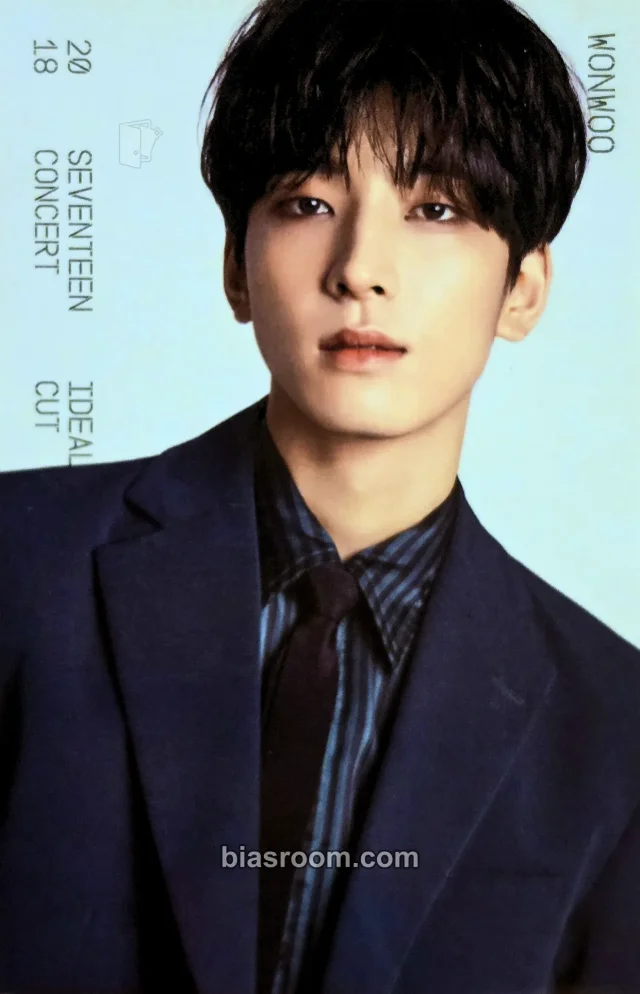 IDEAL CUT] CONCERT トレカ - SEVENTEEN | Bias Room