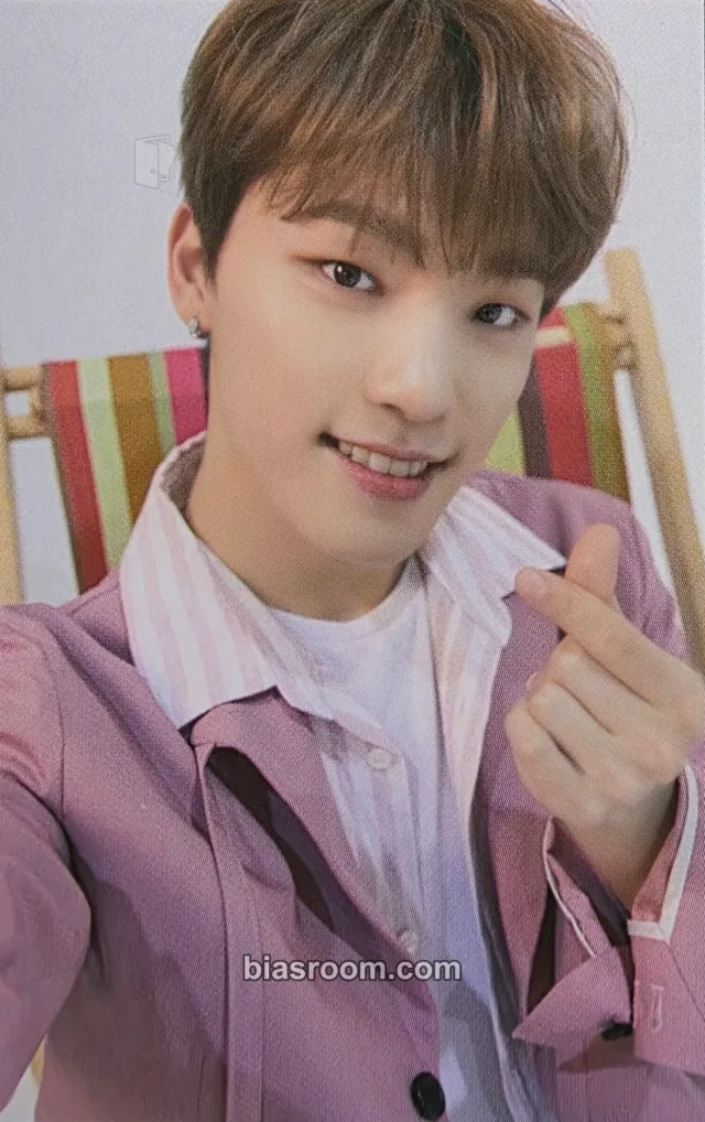 SEVENTEEN - Dino - 2019 3RD SVT IN CARAT LAND Event fan meeting merch photocard trading card selfie