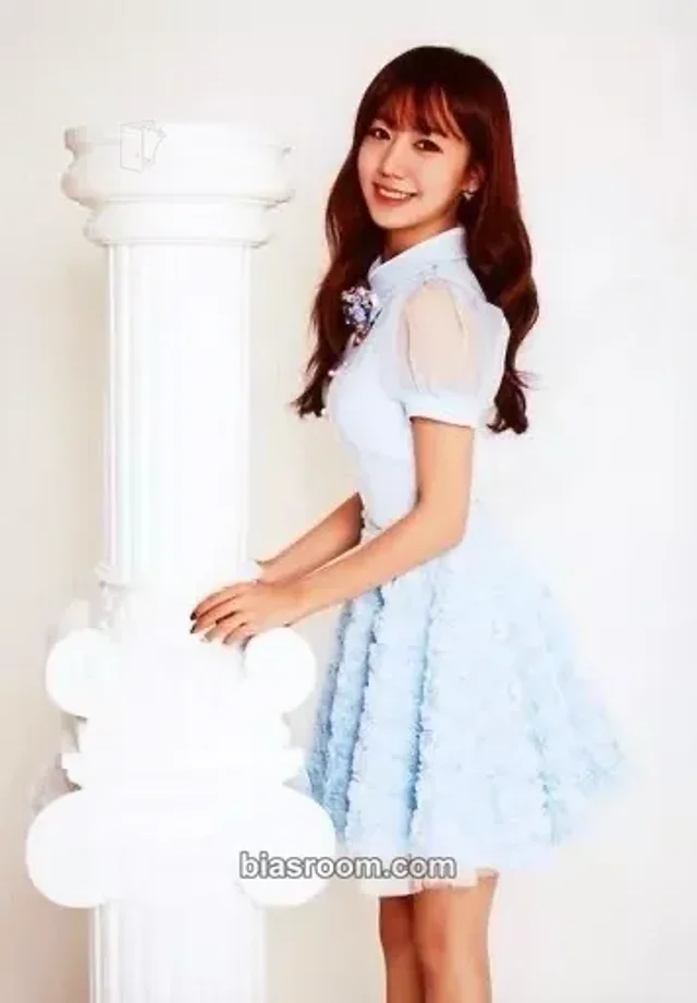Namjoo Apink Brand New Days K-pop photocard