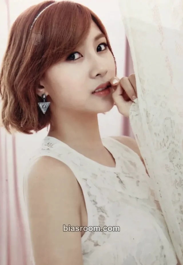 Apink - Hayoung - Apink First LIVE TOUR 2015 - PINK SEASON Event photo collection photo print