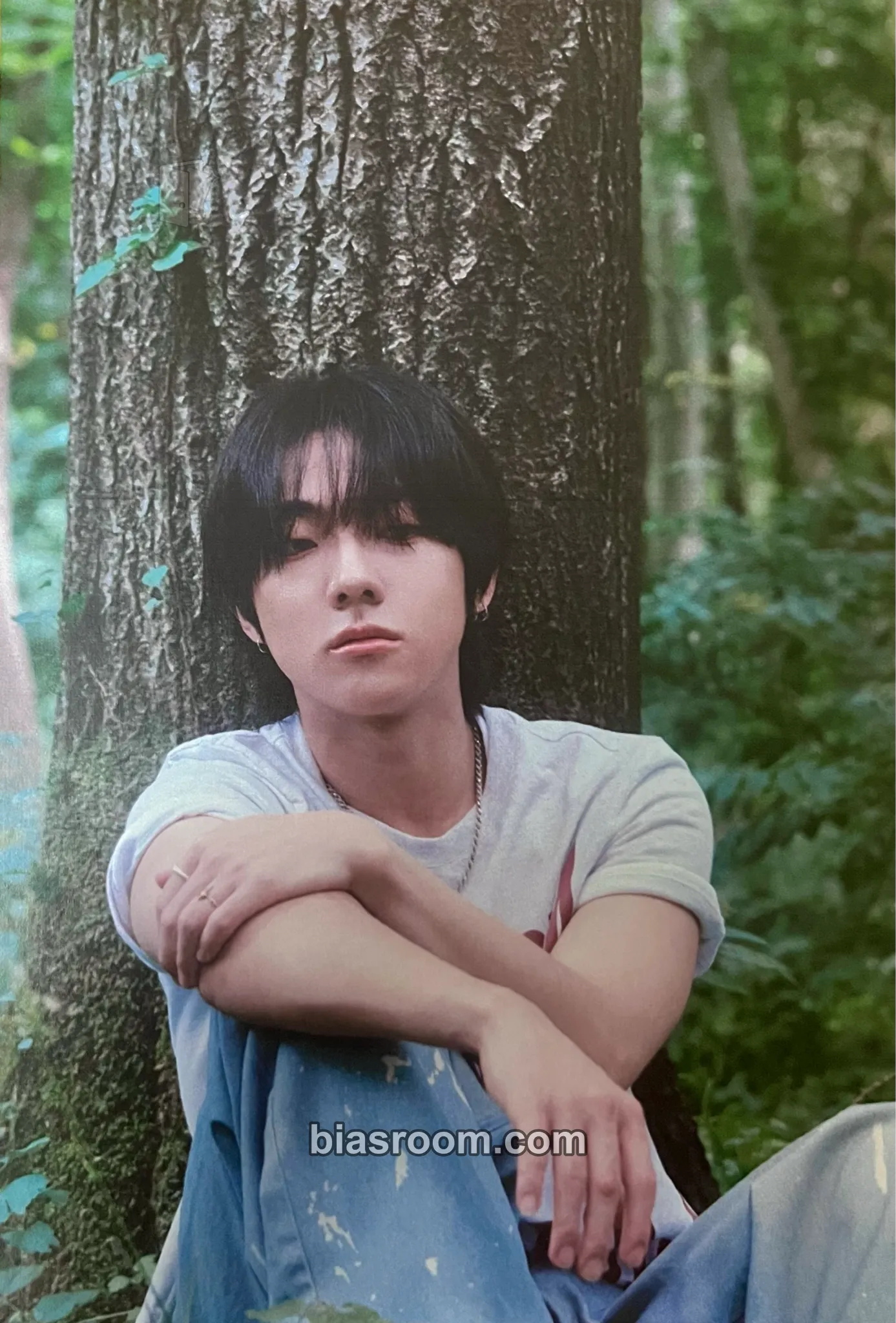 An Tae Gyu Radio Silence Photocard - Dragon Pony - Dragon Pony K-pop photocard