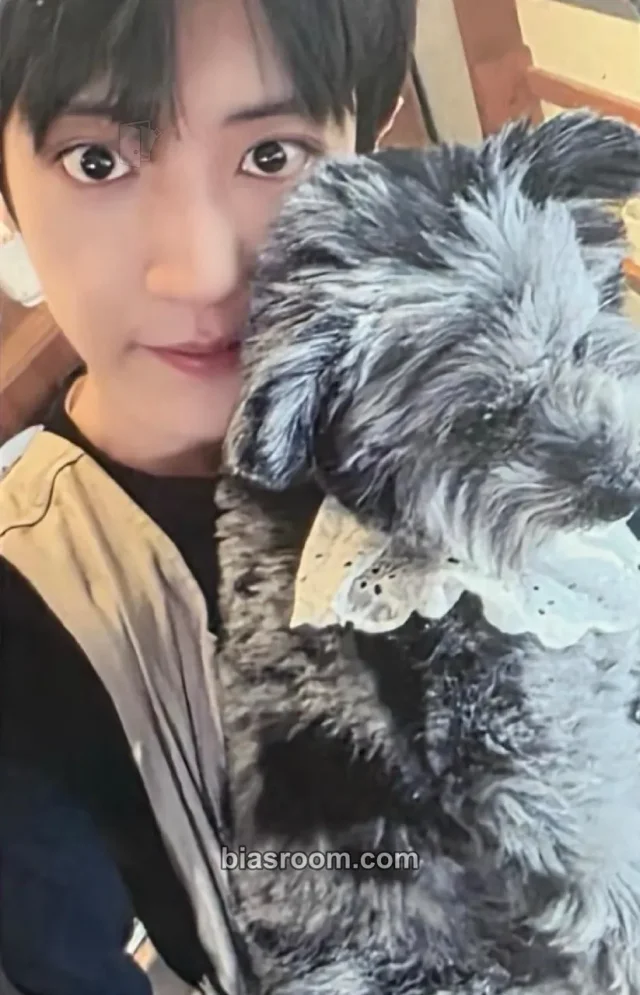Chanyeol SUPERSTAR SMTOWN トレカ - EXO | Bias Room