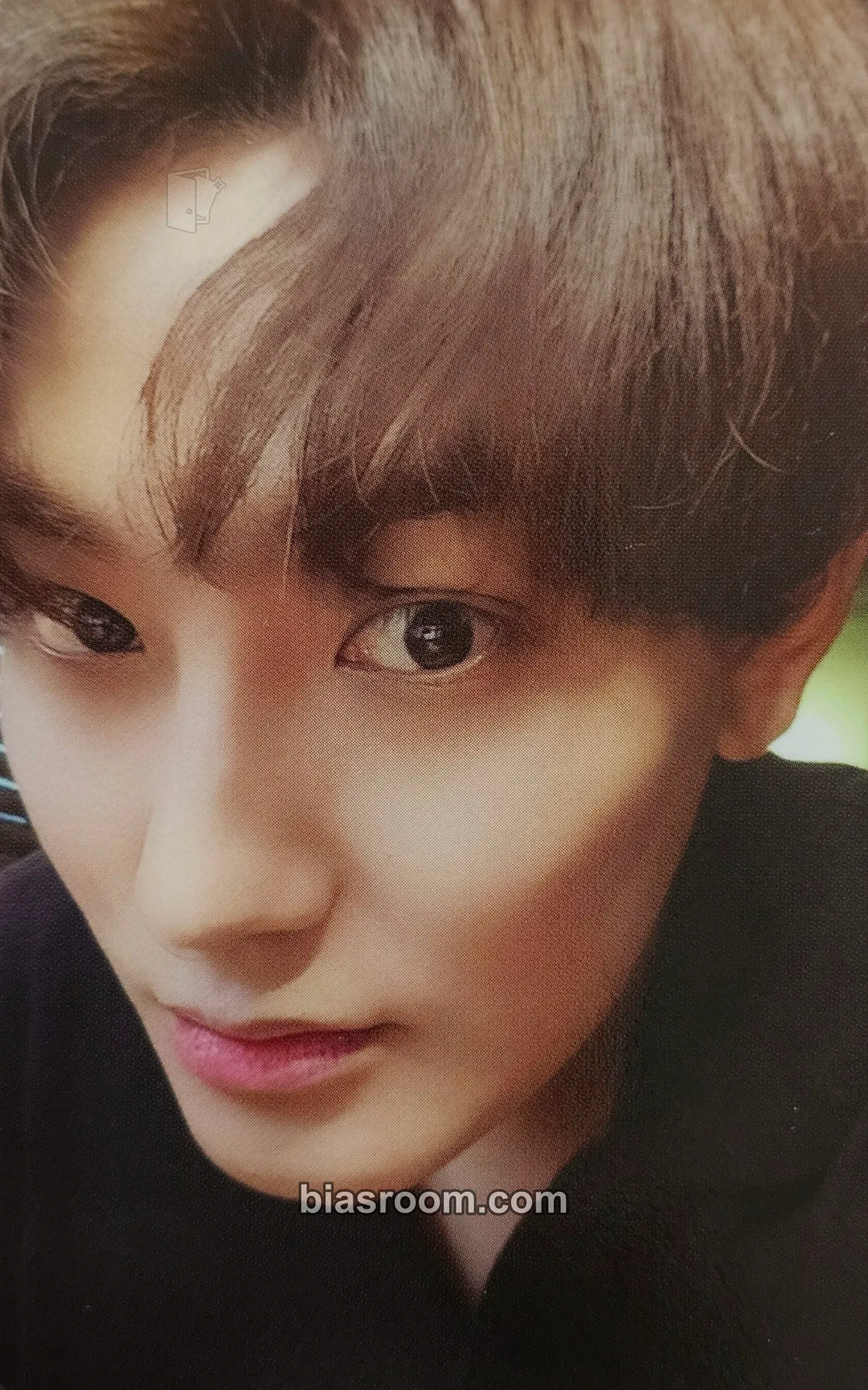 Kangta Eyes on You (Kangta) Photocard - KANGTA - KANGTA K-pop photocard