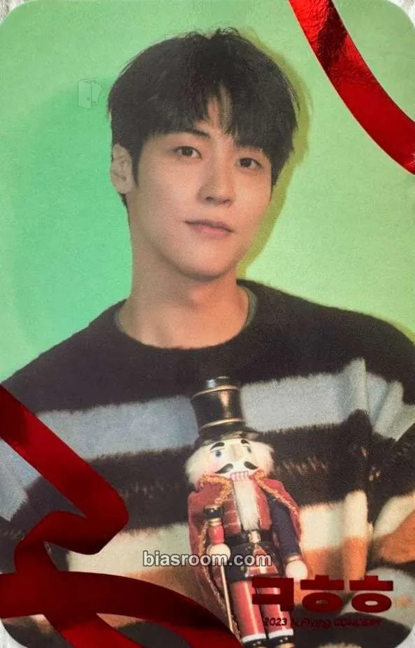 N.Flying スンヒョプ トレカ 春が眩しい サノク Seunghyub 2023 N.Flying CONCERT 'ㅋㅎㅎ' トレカ - N.Flying | Bias Room