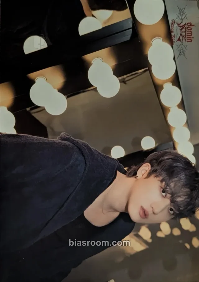 Changbin Stray Kids DominATE World Tour K-pop photocard