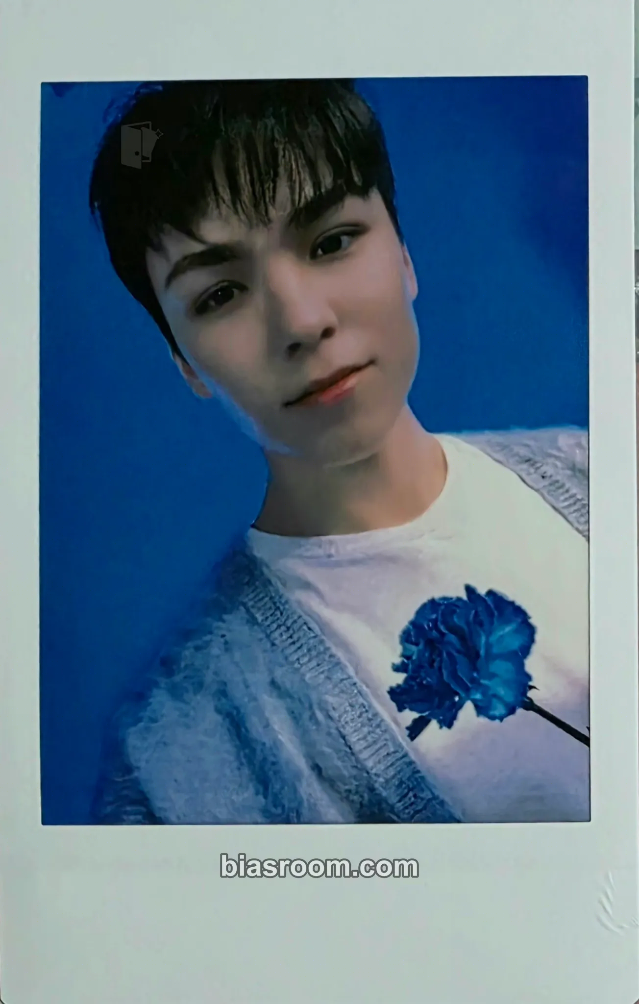 Vernon 2022 JAPAN FANMEETING [HANABI] Photocard - SEVENTEEN | Bias