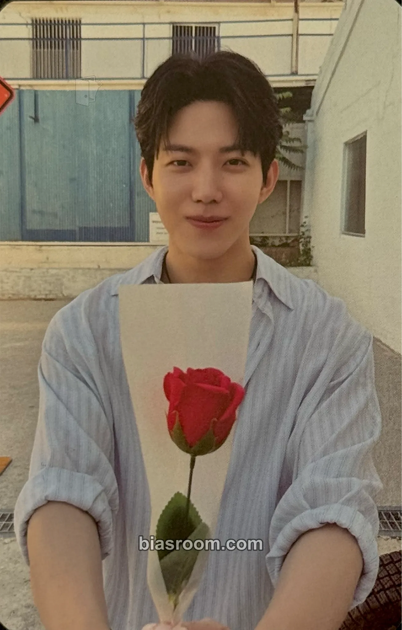 Dowoon DAY6 10th Anniversary Tour The Decade トレカ - DAY6 | Bias Room