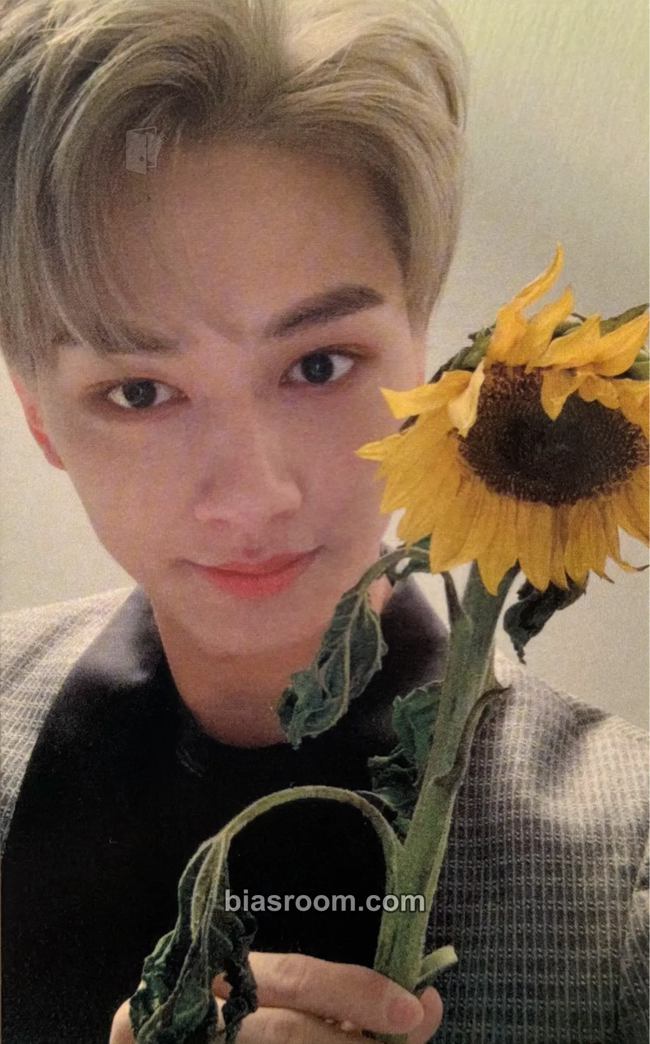 Jun You Made My Dawn トレカ - SEVENTEEN | Bias Room