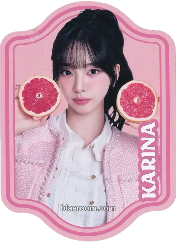 Karina aespa official fanclub MY-J specialkit トレカ - aespa