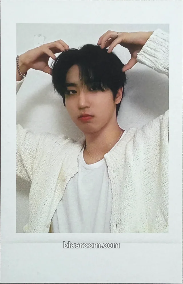 HAN Stray Kids 2024 Season's Greetings - Perfect Day with SKZ K-pop photocard