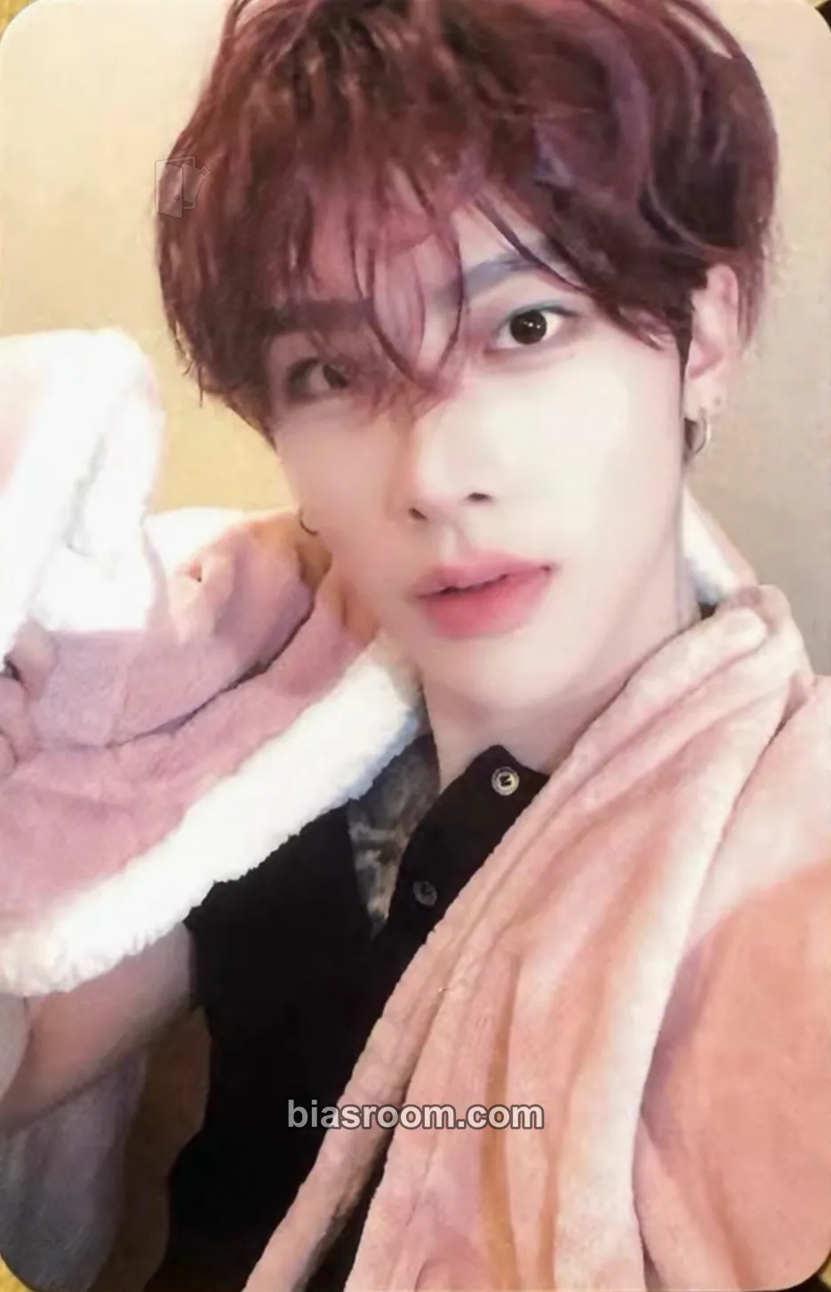 Ricky Sequence 01: Curiosity Photocard - AND2BLE | Bias Room
