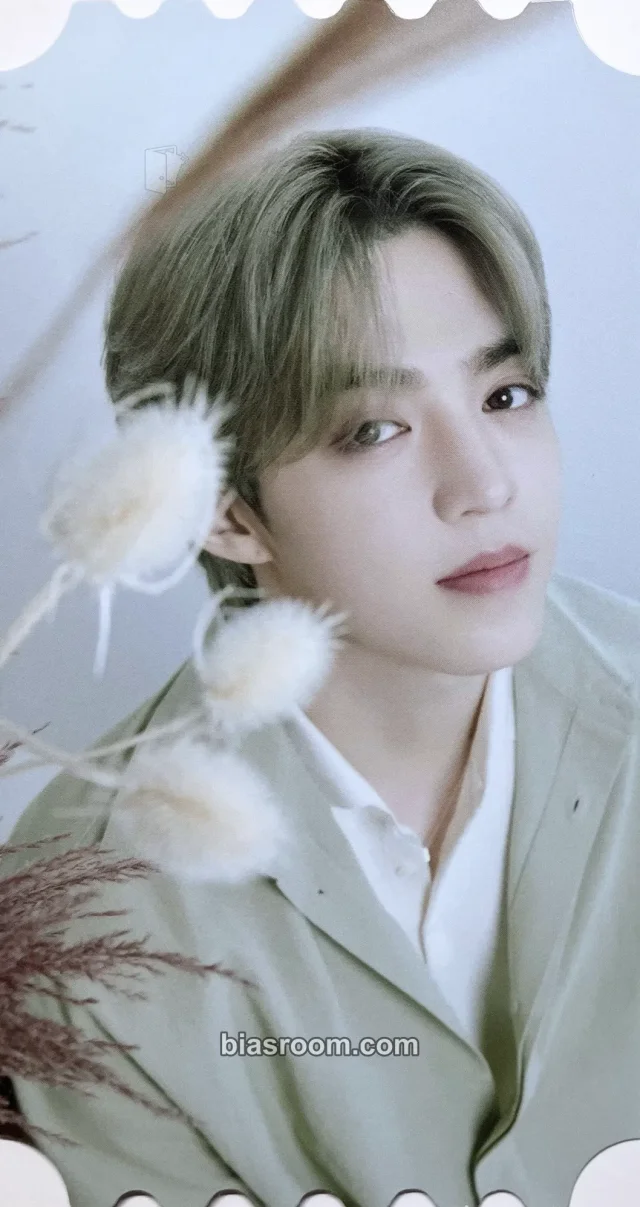 S.Coups Seventeenth Heaven トレカ - SEVENTEEN | Bias Room
