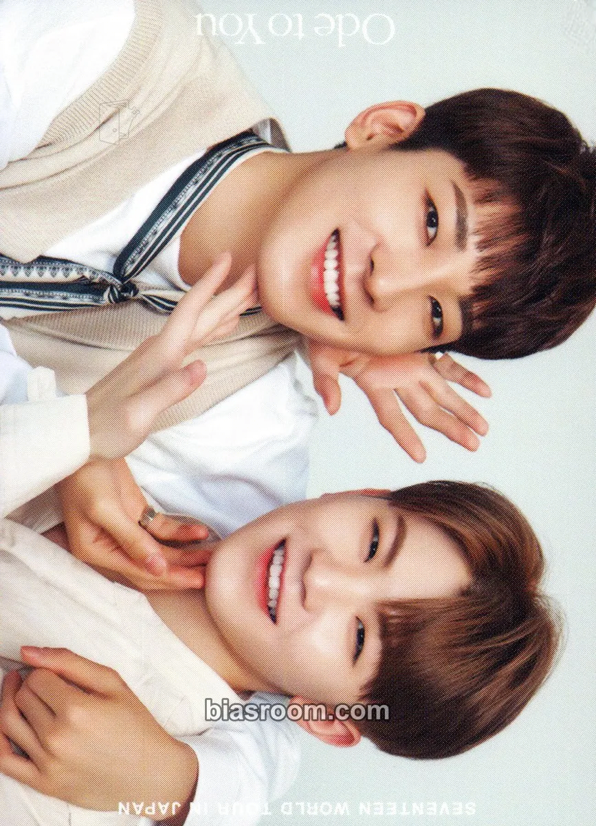 ODE TO YOU] TOUR Photocard - SEVENTEEN | Bias Room
