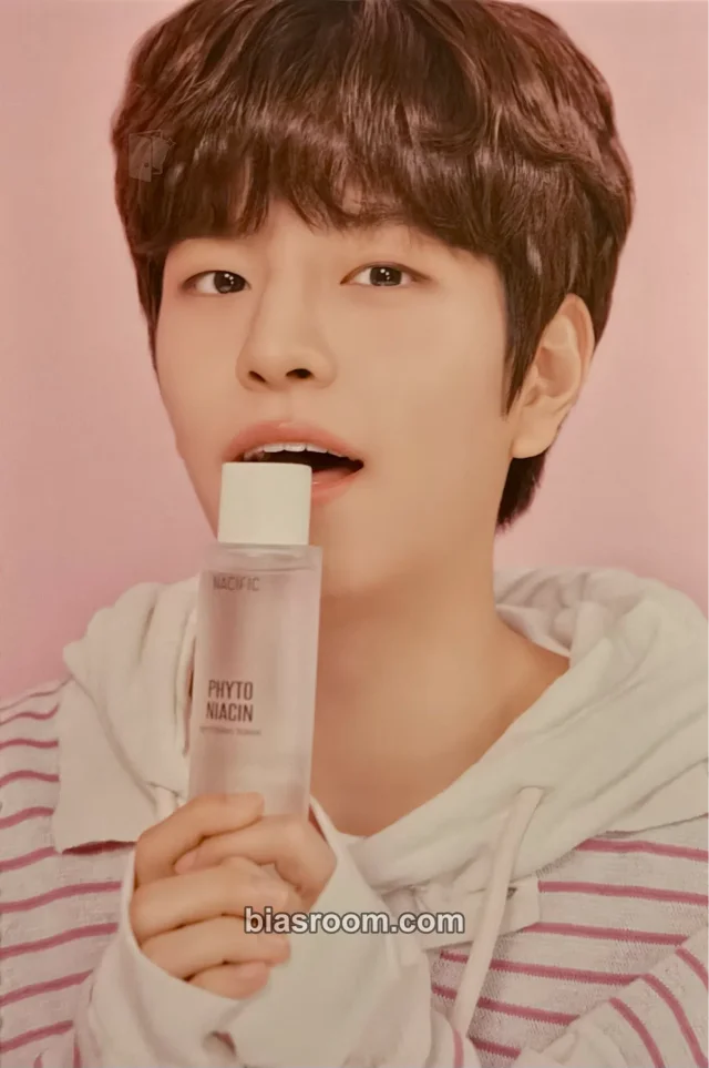 Seungmin THIS & THAT トレカ - Stray Kids | Bias Room
