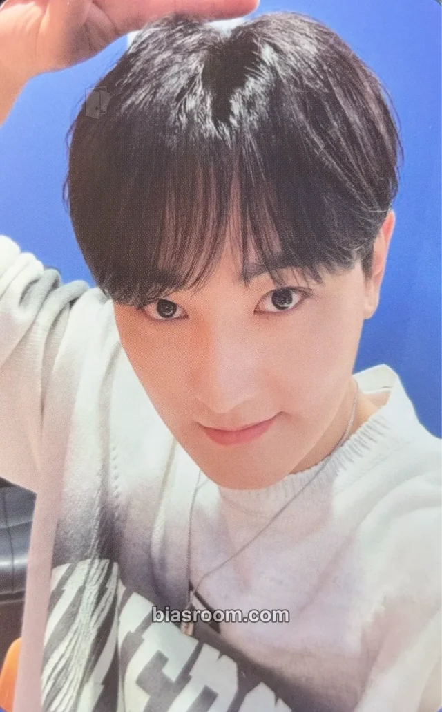KANGTA - Kangta - Pink Christmas 2023 Other random pack trading card