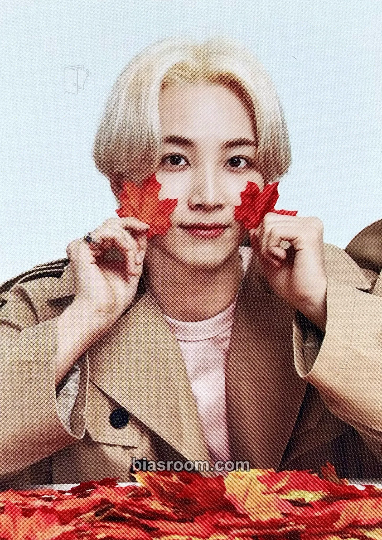 Jeonghan [ODE TO YOU] TOUR Photocard - SEVENTEEN | Bias Room
