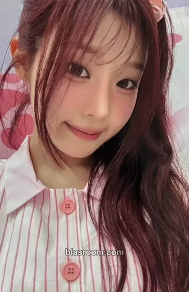 Dohee Photocards (SAY MY NAME) | Bias Room
