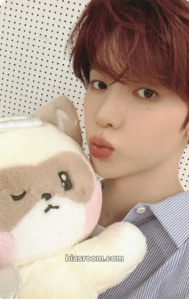 ZEROBASEONE - Hao - ZB1 x LINE FRIENDS Other pob (pre-order benefit) merch photocard doll/figure/plush