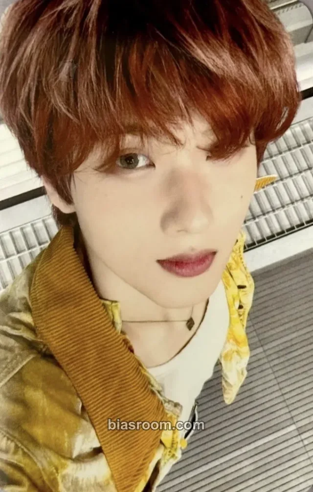 Jisung 맛(Hot Sauce) MD トレカ - NCT DREAM | Bias Room