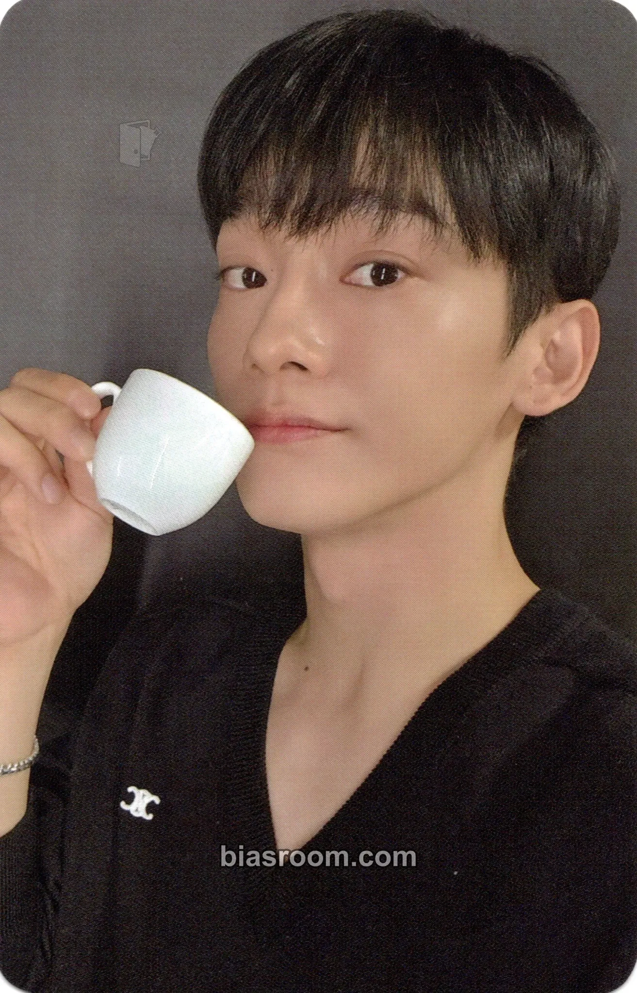 Chen Door Photocard - EXO - EXO K-pop photocard